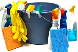 Уборка дома (House cleaning)
